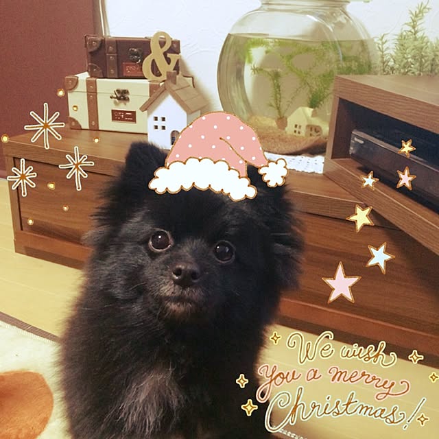 373さんの実例写真
