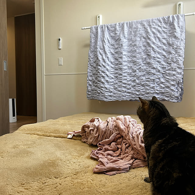 mikomaruさんの実例写真