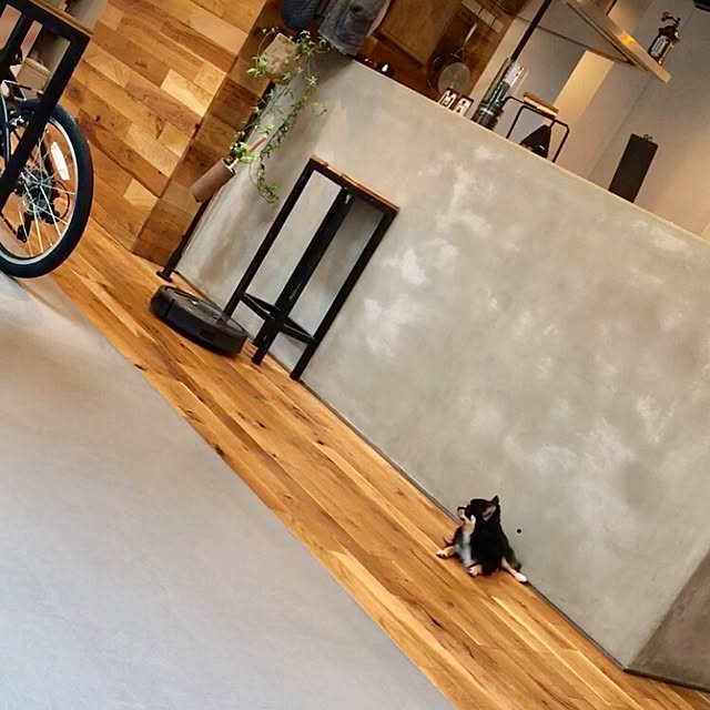Noboさんの実例写真