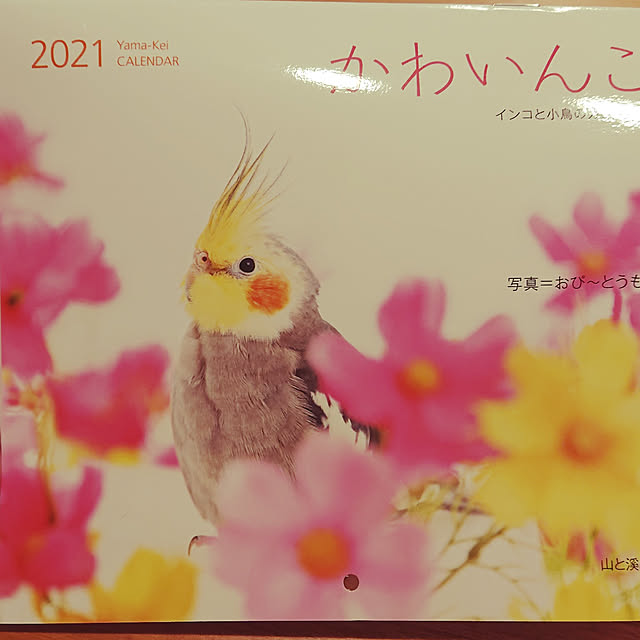 kyonさんの実例写真