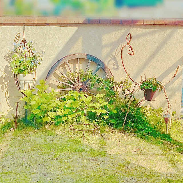 Mayさんの実例写真
