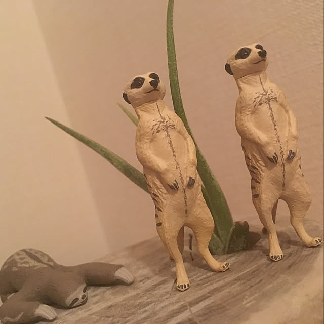 itsukamasayumeさんの実例写真