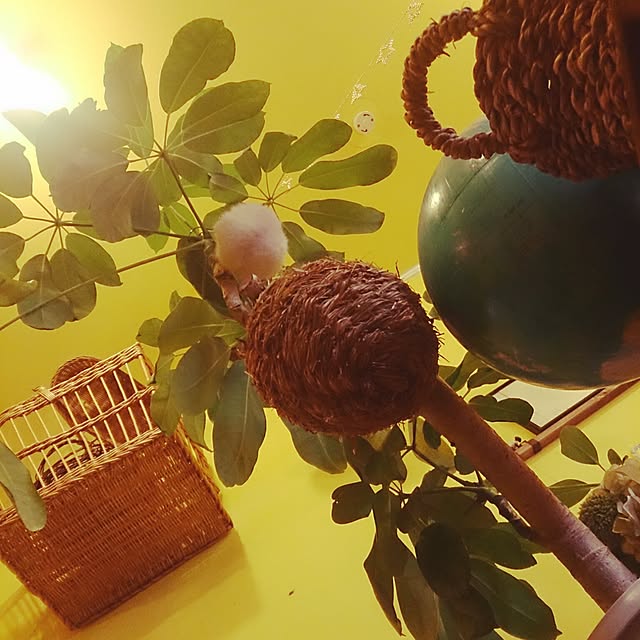 kuhaさんの実例写真
