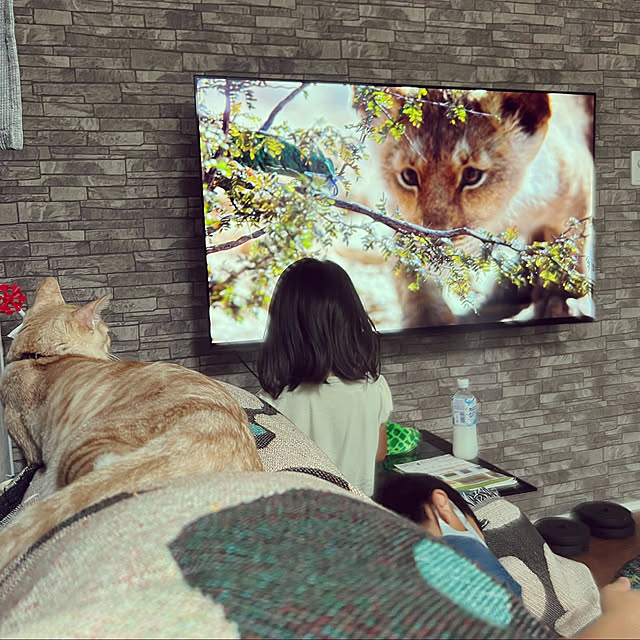 yhksさんの実例写真