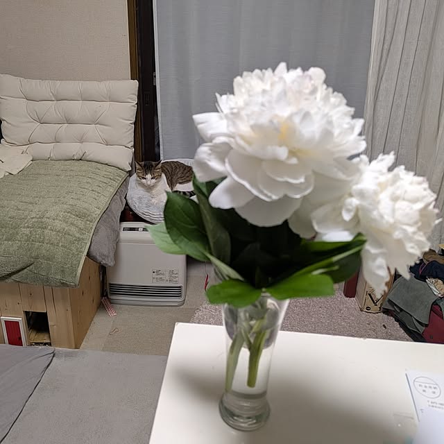 mori_6_12さんの実例写真