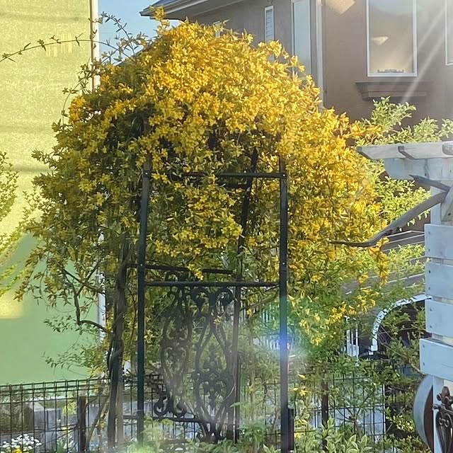 min_nimさんの実例写真