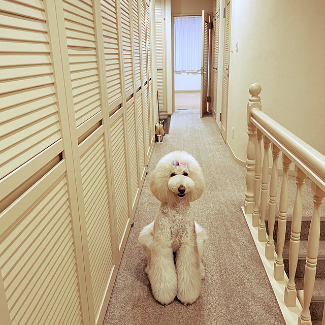 nackeyさんの実例写真