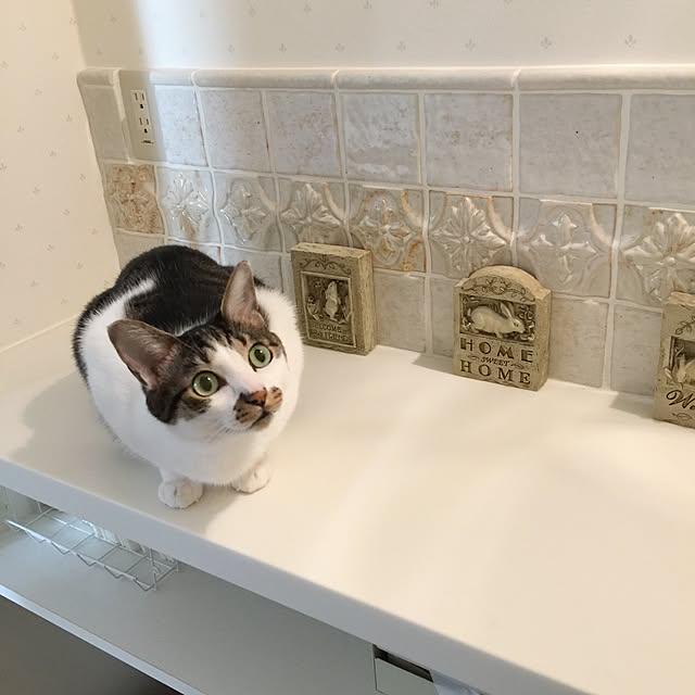 yuchiさんの実例写真