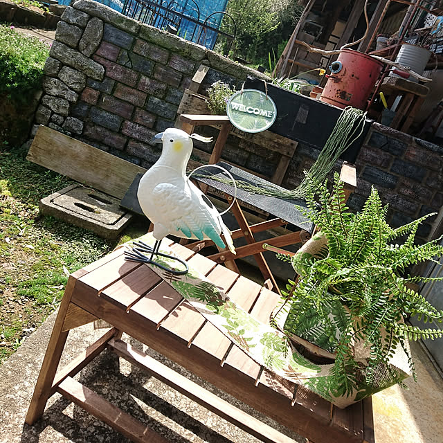 norikuuさんの実例写真