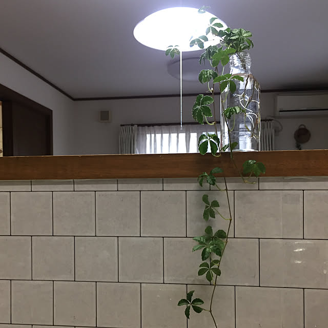 Junran50さんの実例写真