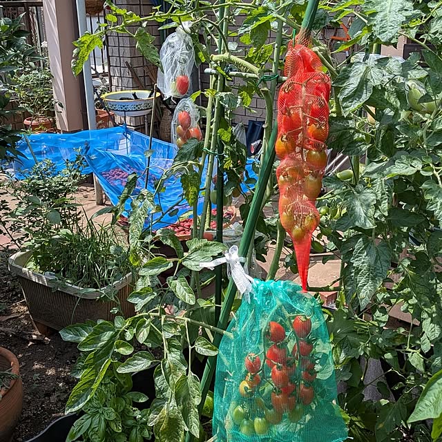 botanさんの実例写真