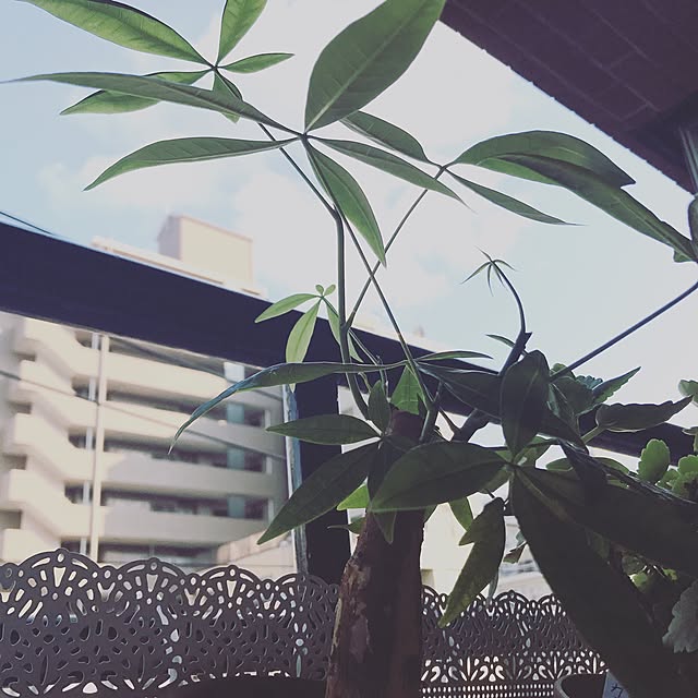 peri.さんの実例写真