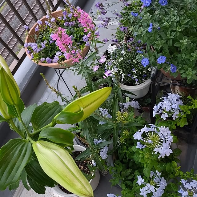 NOAHさんの部屋