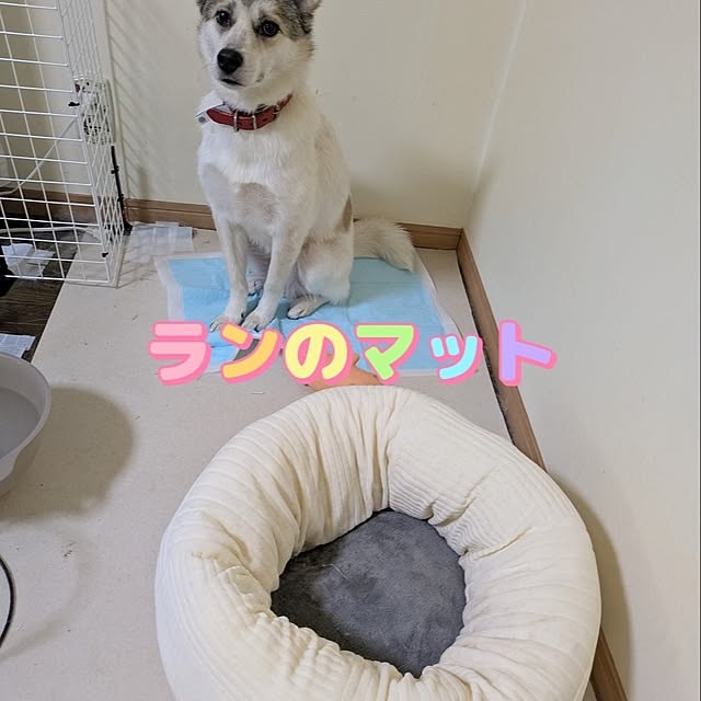 asaさんの実例写真
