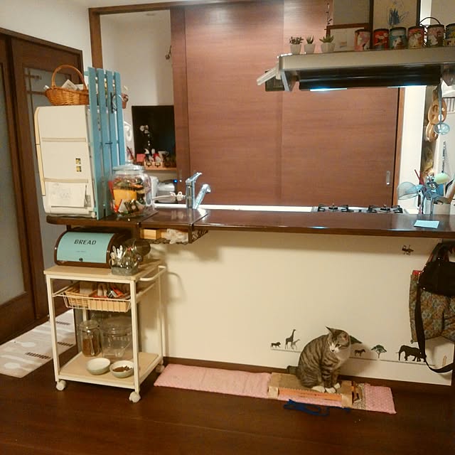 Mikaさんの実例写真