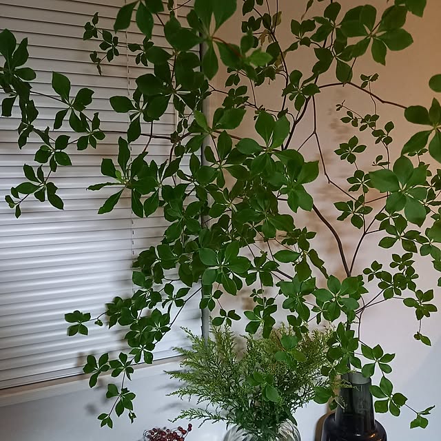 yachukoさんの部屋