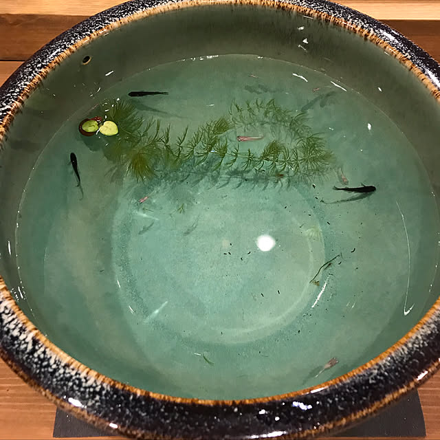 ni_naさんの実例写真