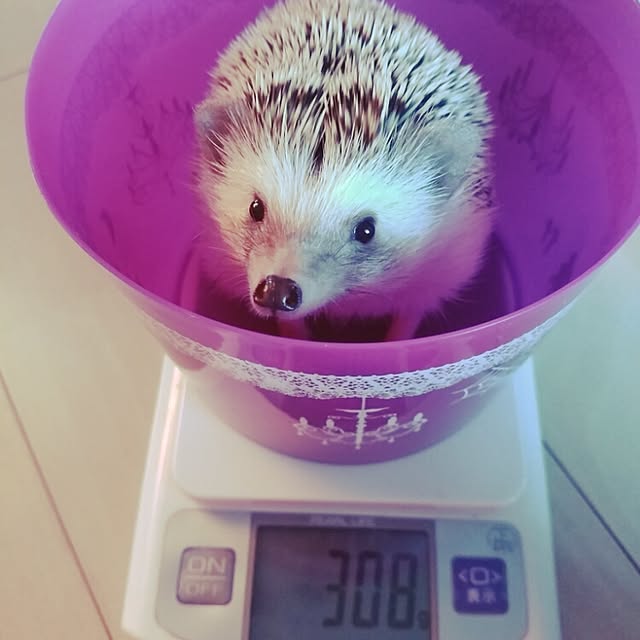 kuruさんの実例写真