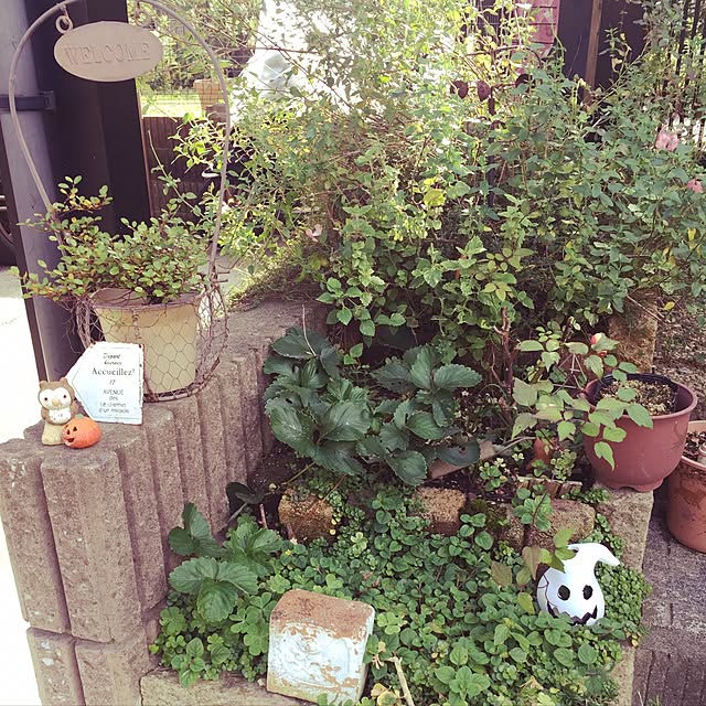 ronさんの実例写真