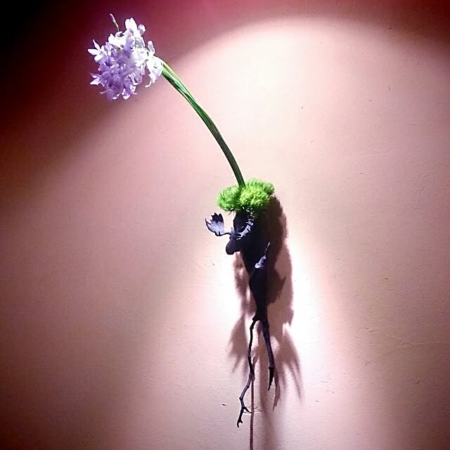 Gravityさんの実例写真