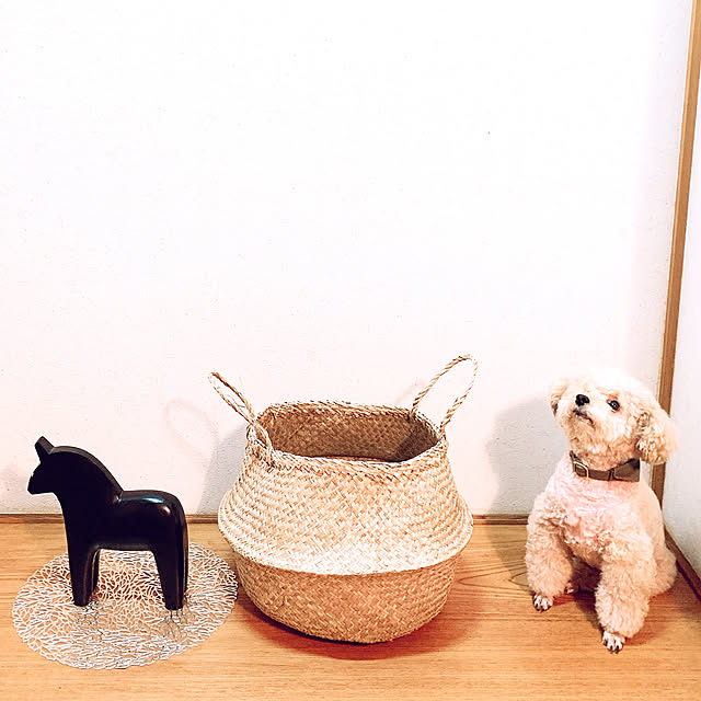 teaさんの実例写真