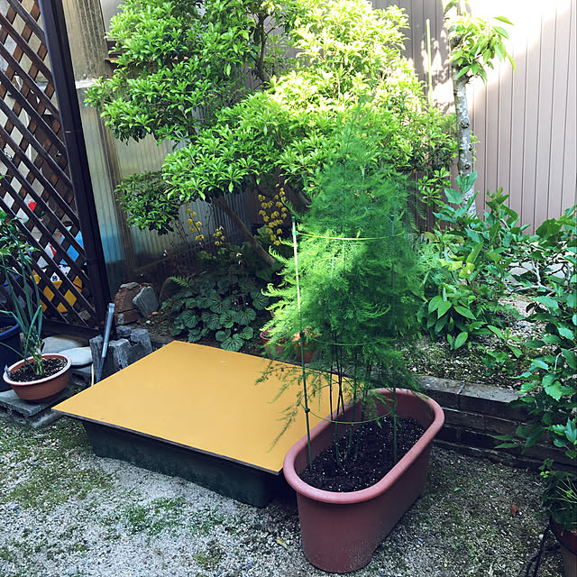 mogeさんの実例写真