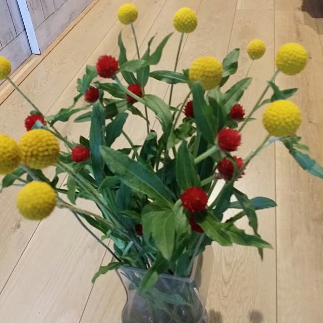 k.keikoさんの実例写真