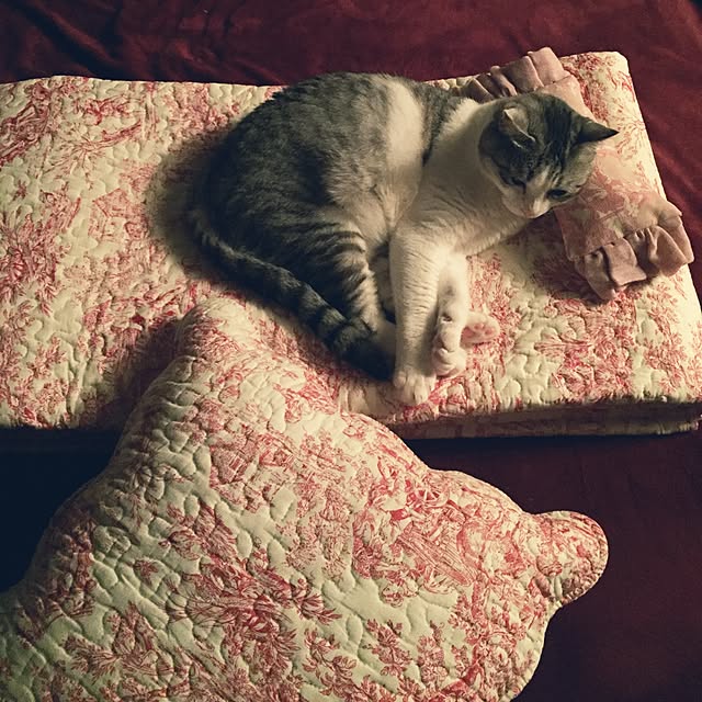 emmyyさんの実例写真