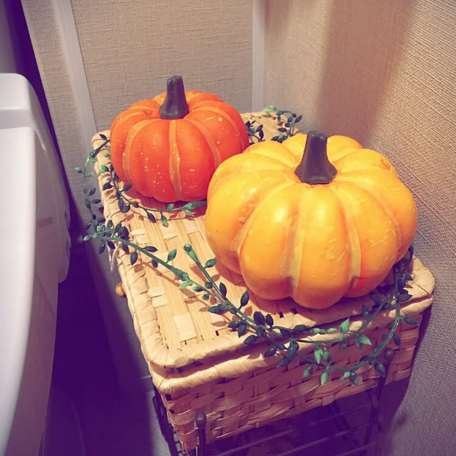 plaire27さんの実例写真
