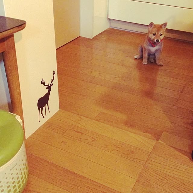 botanさんの実例写真