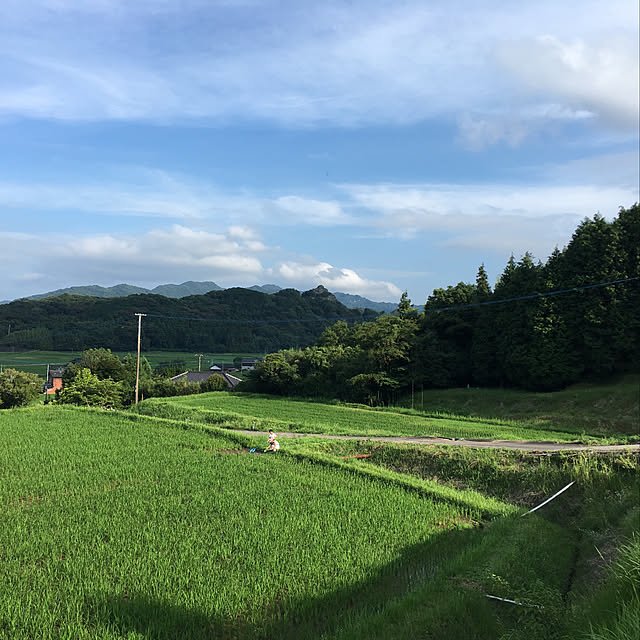 実例写真