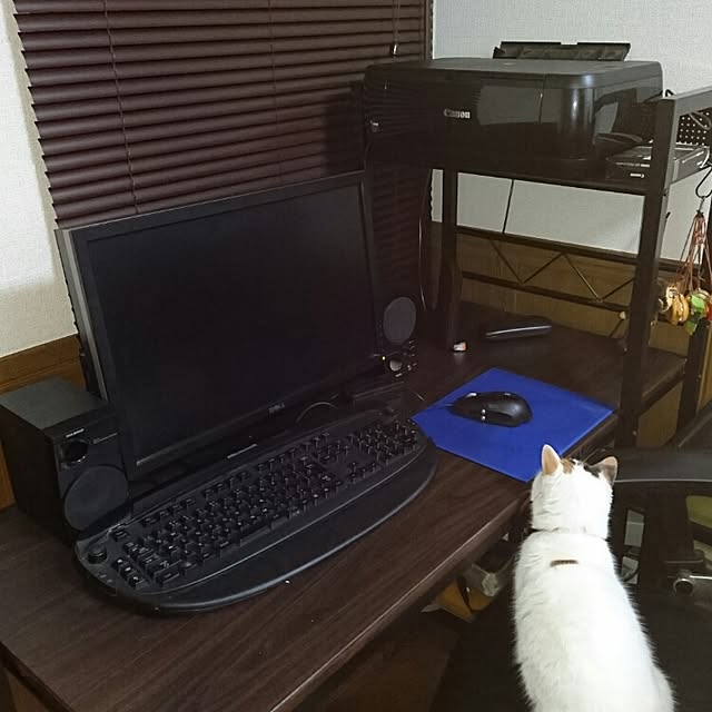 mine-catsさんの実例写真