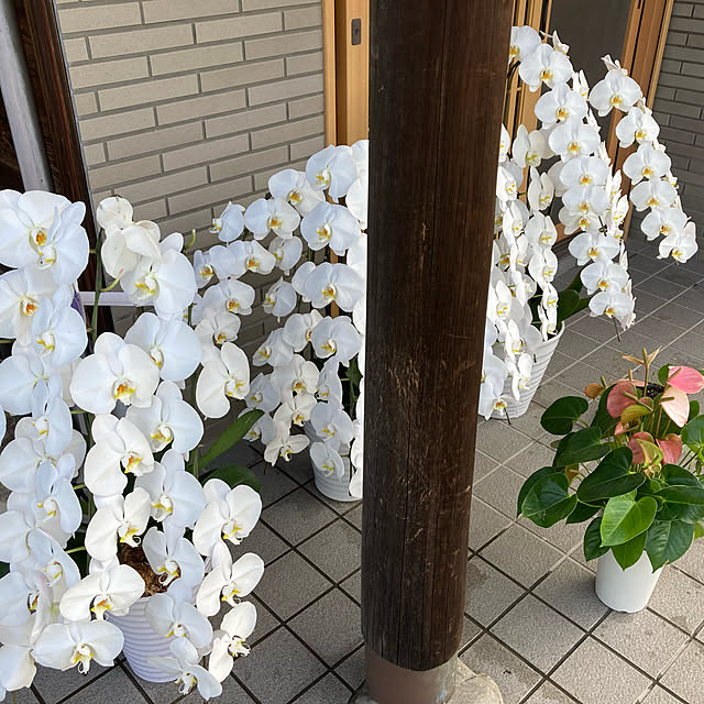 run.1228さんの実例写真