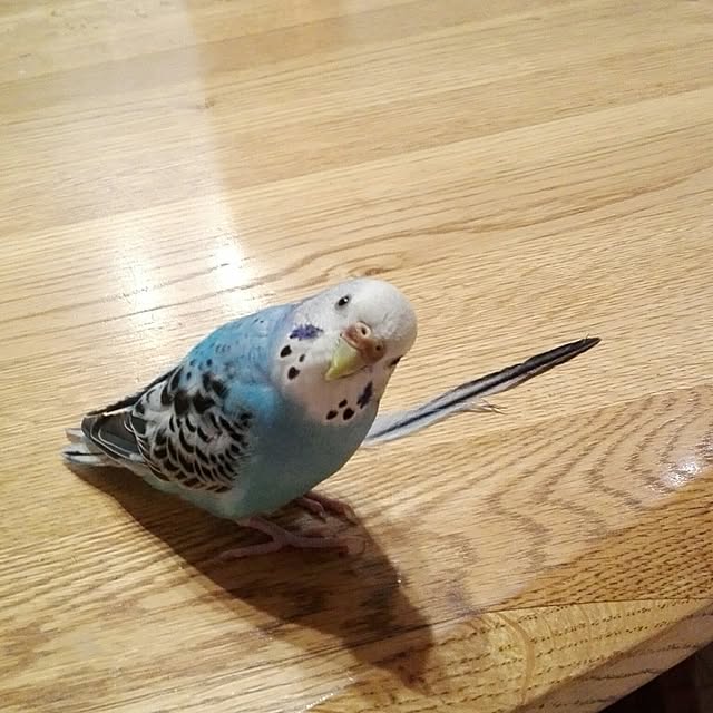 yukkieさんの実例写真