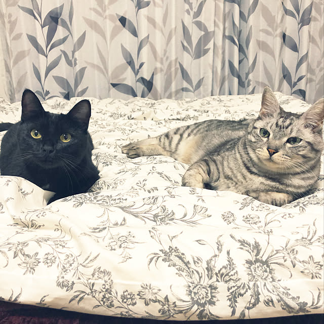 syrnuu946さんの実例写真