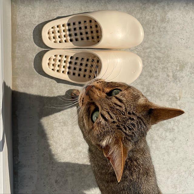 A3さんの実例写真
