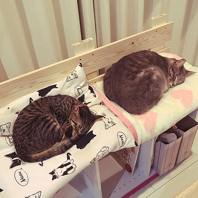 yuz96さんの実例写真