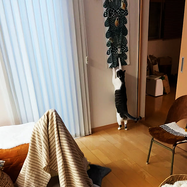 kuuneruasobuさんの部屋