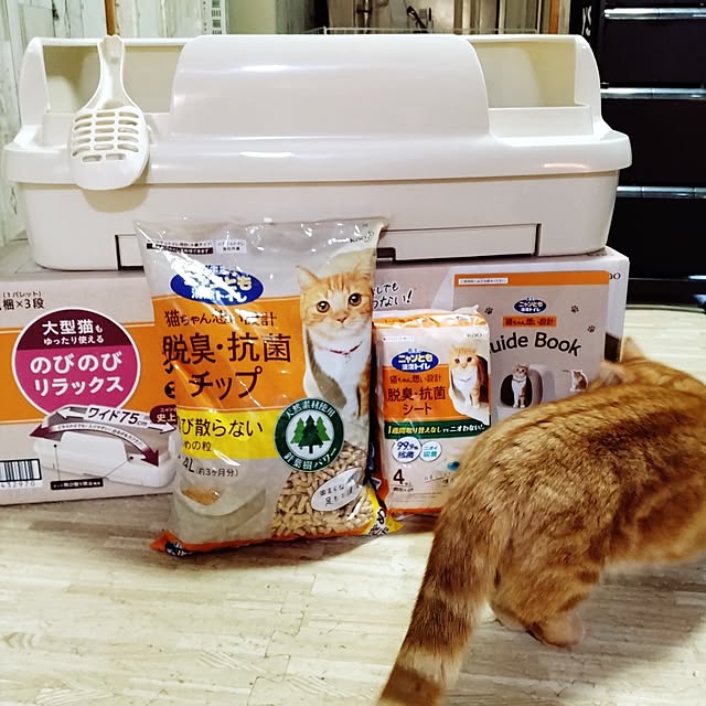 runaさんの部屋