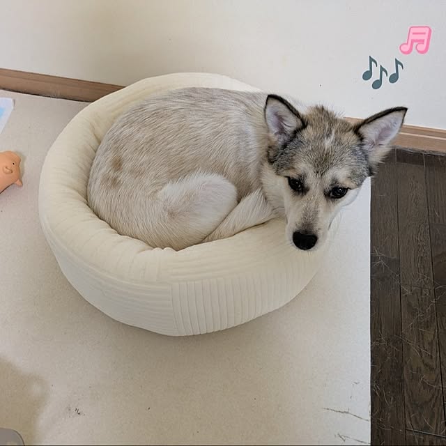 asaさんの部屋