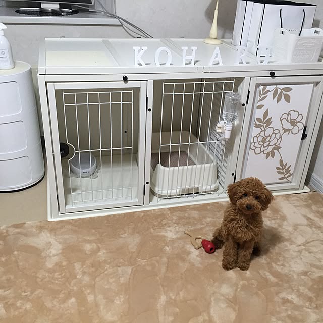 koharuさんの実例写真