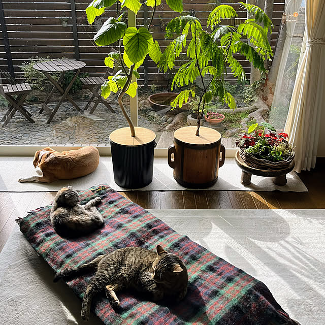 kuuさんの実例写真