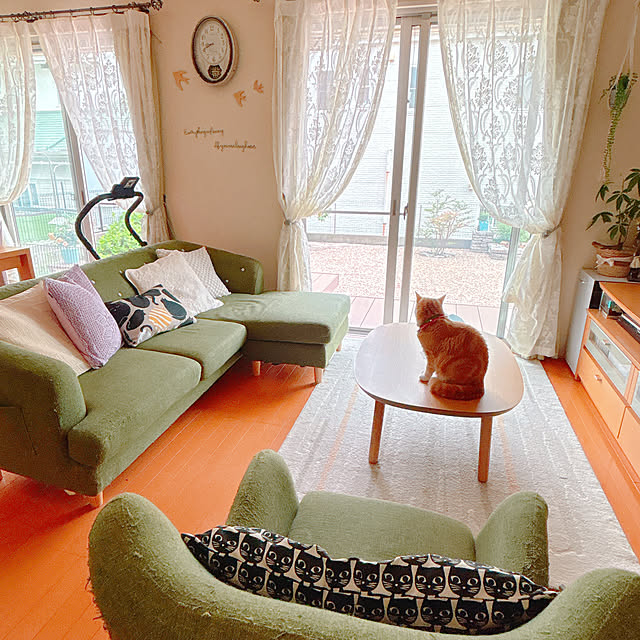 moolさんの実例写真