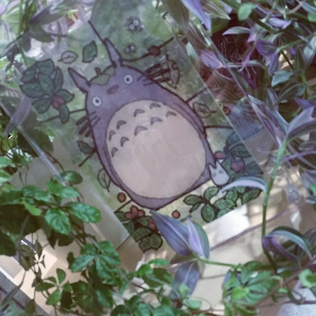 nia1213さんの実例写真