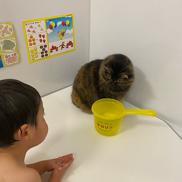 mikomaruさんの実例写真