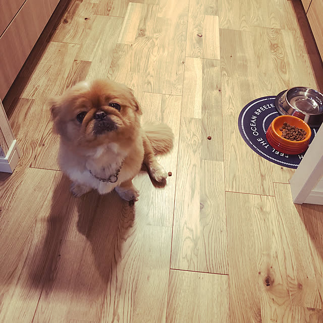 NUIさんの実例写真