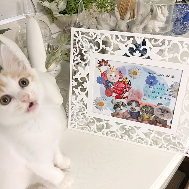 yuchiさんの実例写真