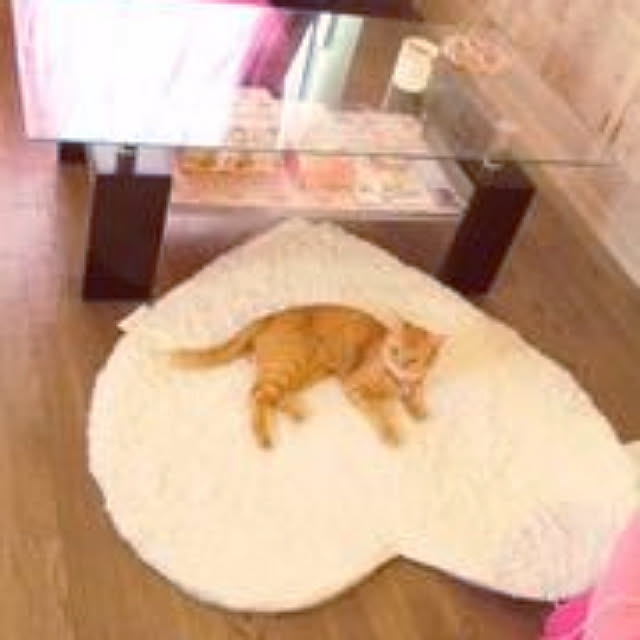asuminさんの実例写真
