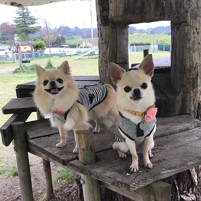 実例写真