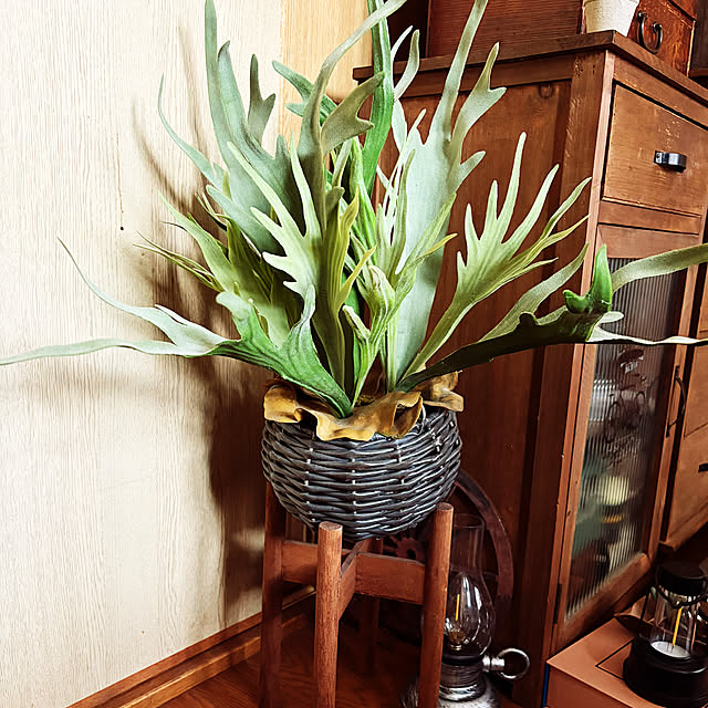 rintarotantan7さんの部屋